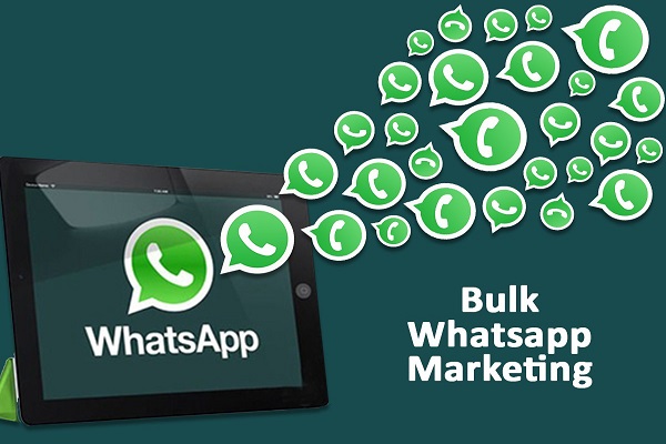 Web1Tech What's App Bulk Marketing